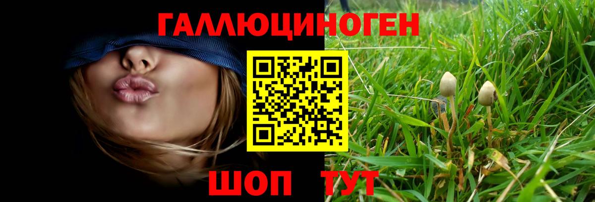 Вятские Поляны  Галлюциногенные грибы прущие грибы  Вход с VPN 